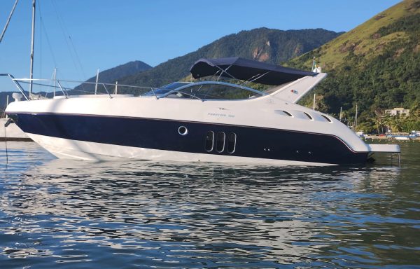 SCHAEFER PHANTOM 300 2009